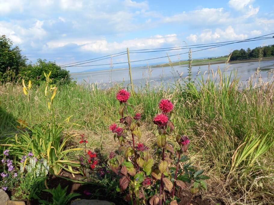 2 Quay Road, Killala. Stunning Sea Front Cottage Eksteriør bilde